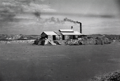 泡瀬の塩田風景 1950～60年代